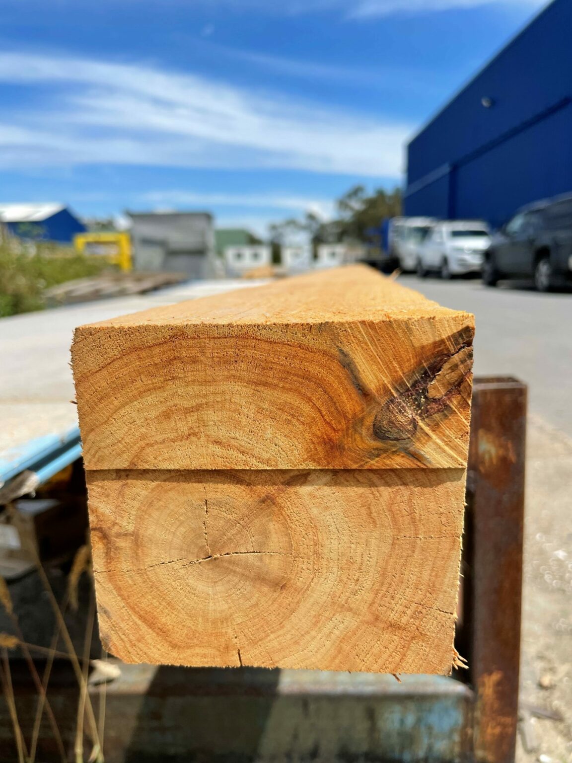 Cypress Pine Posts Bowens