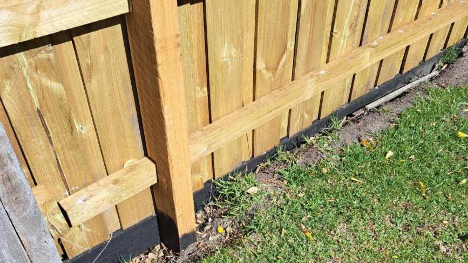 Timber post on fence with grass below.