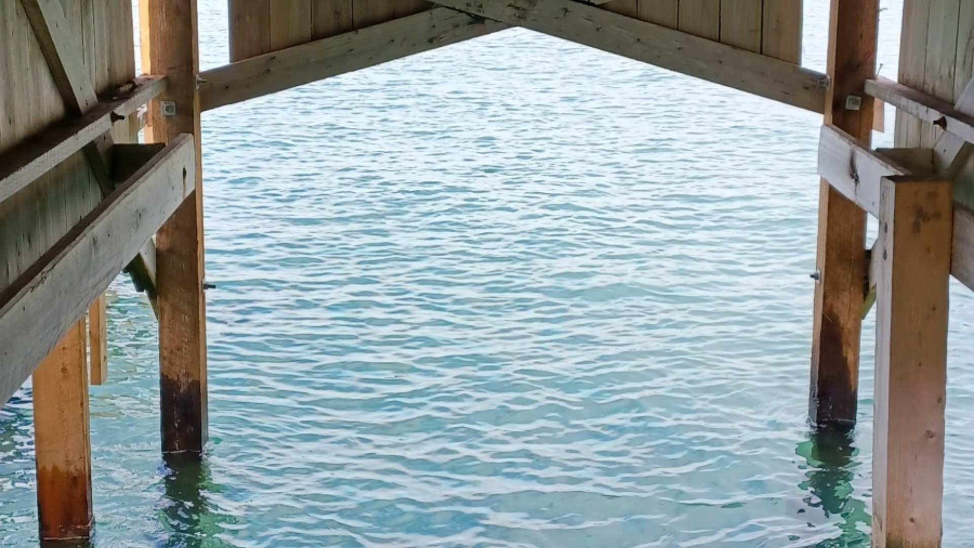 Cypress Pine posts submerged in salt water.