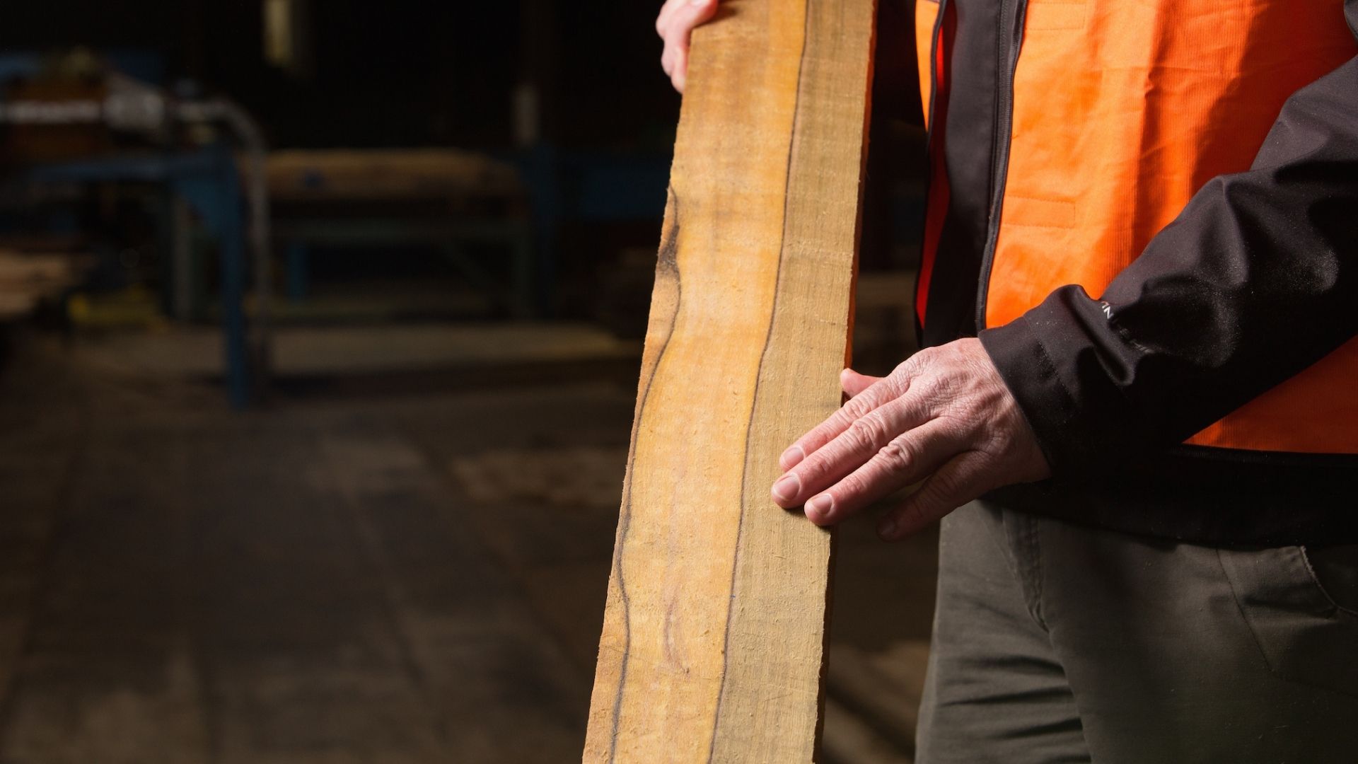 Man holding harvested hydrowood.