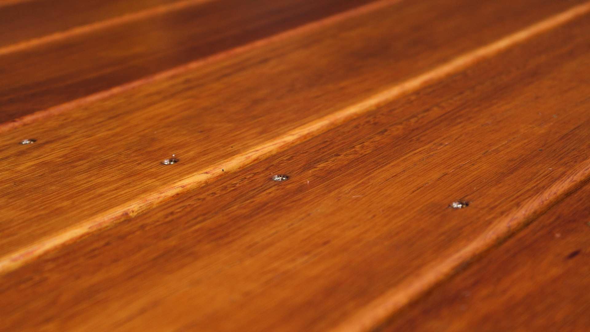 Close up shot of Merbau decking.