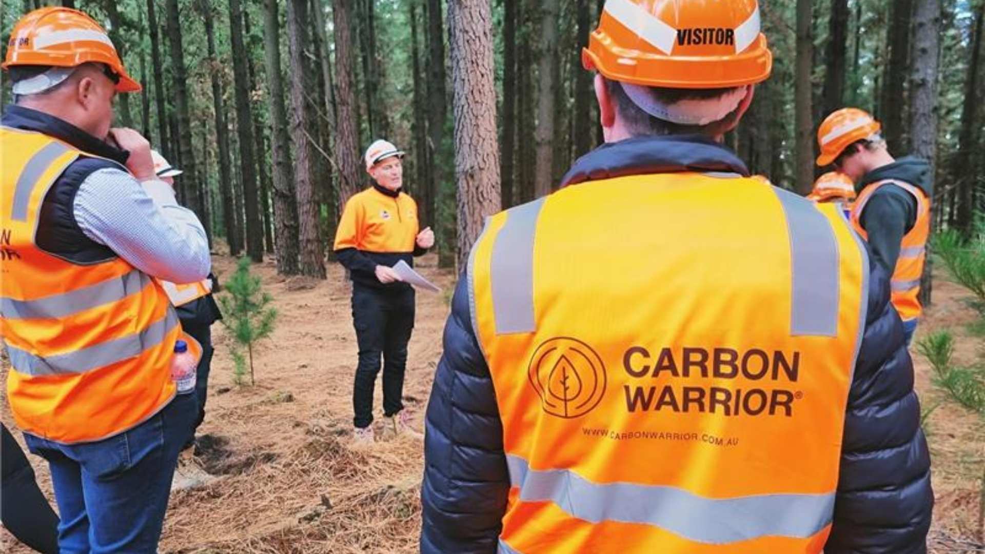 Carbon Warriors at a timber plantation.