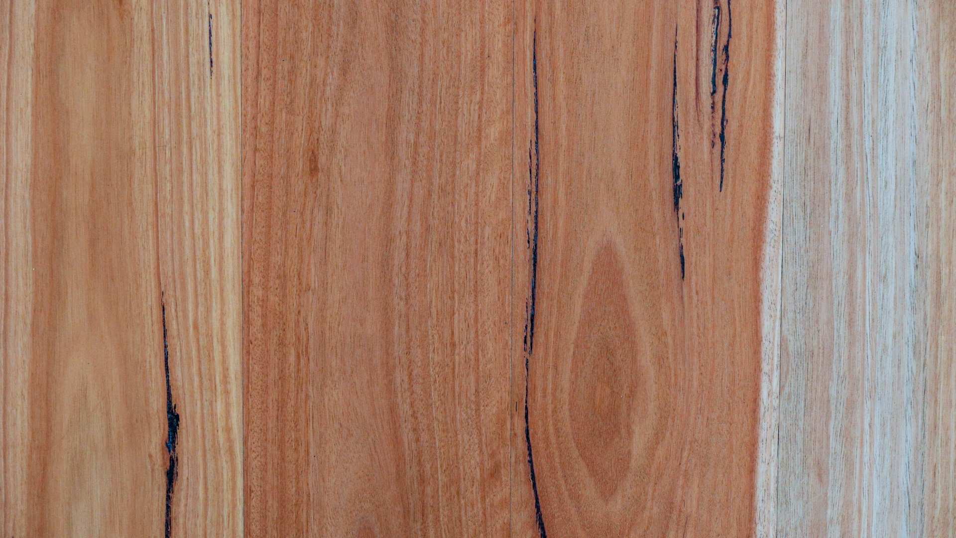 Close up shot of Blackbutt solid timber flooring.