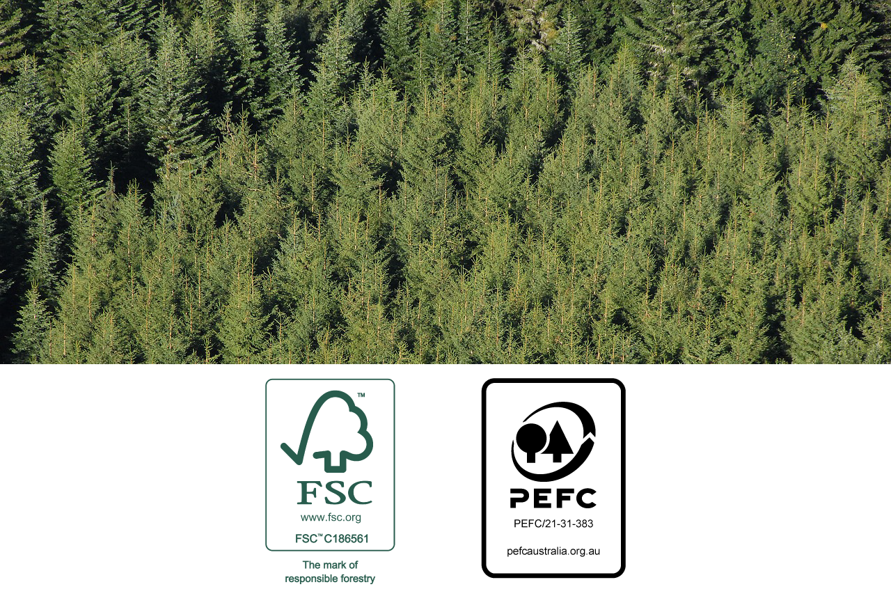 Pine tree plantation for sourcing responsible timber